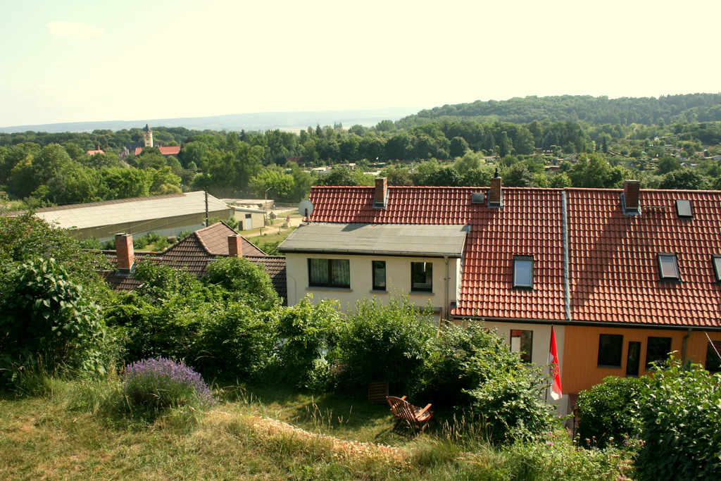 Harzblick